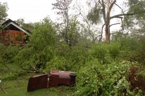 Side yard and neighbor's crushed garage and car.