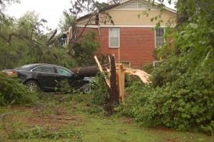 Neighbors behind us.