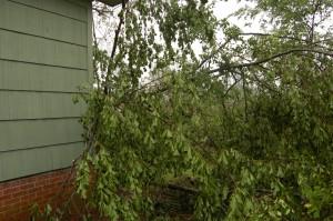 The corner of the back of the house.