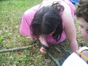 Makaylah deep in the midst of nature study.