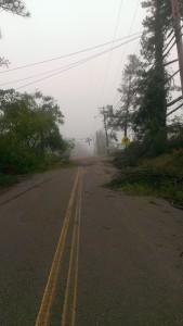 Joyner Ave.