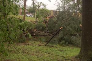 Side yard looking toward Parkway Baptist Church. This is where we were asked to go to be evacuated out of the neighborhood.