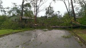 The road in front of our house. 