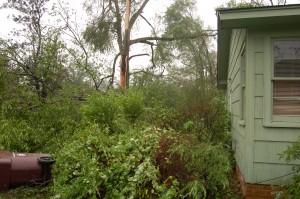 Other side yard. Clayton Ave is one house over the the left of this picture.
