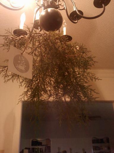 Our "upside down Christmas" Jesse tree.