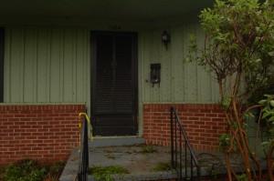 Our front door with pieces of leaves pasted to the front.